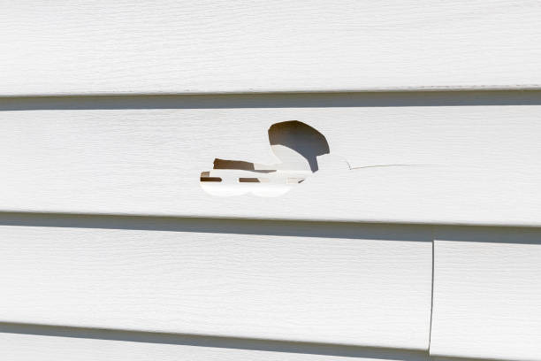 Safety Harbor, FL Junk Removal Company